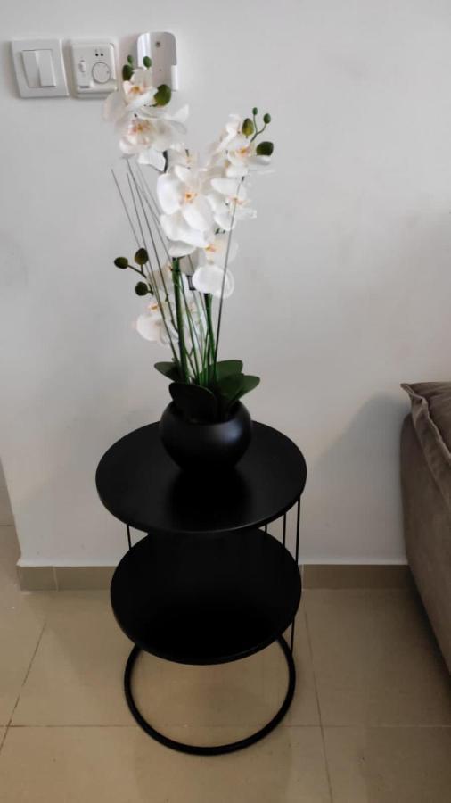 Adriatic Pearl Apartments Kotor Bagian luar foto